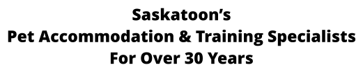 Saskatoon’s Pet Accommodation & Training Specialists For Over 30 Years